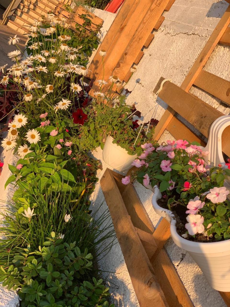 Kenza Apartments Sarandë Værelse billede
